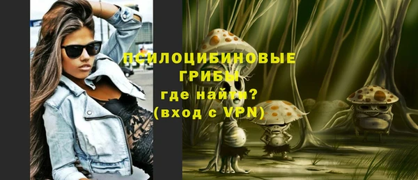 спайс Гусиноозёрск