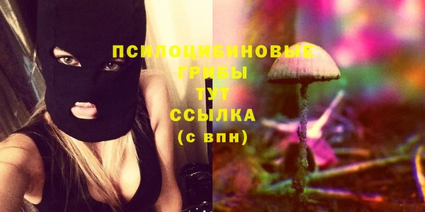 спайс Гусиноозёрск