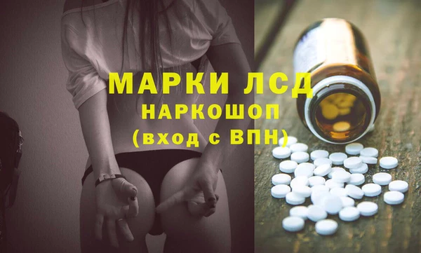 бошки Гусев