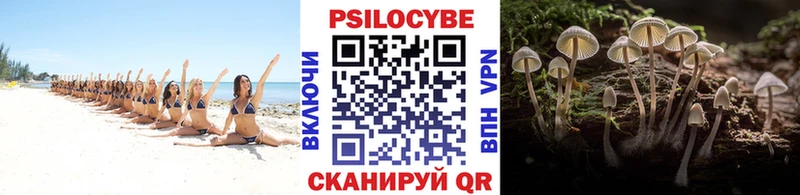 Псилоцибиновые грибы Psilocybine cubensis  Купить  Сураж 